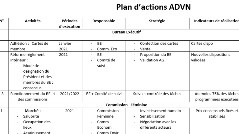 Assemblée générale ADVN Nguidjilone : Voici le plan d’actions 2021-201 !